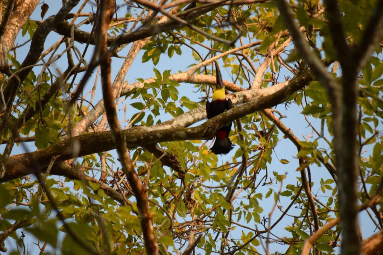 Tres Banderas 3* Nationalpark Manuel Antonio